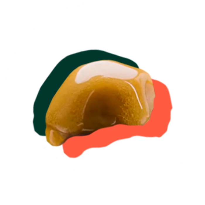 concentrates colleciton